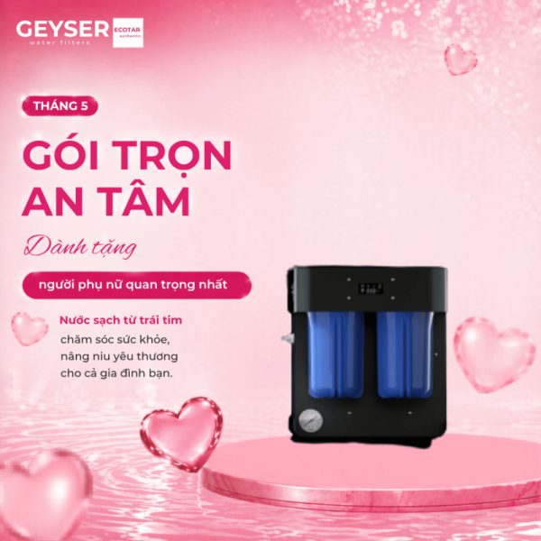 Máy lọc nước chuẩn khoáng Geyser Meastro 2000 chính hãng cho nhà hàng, quán cà phê